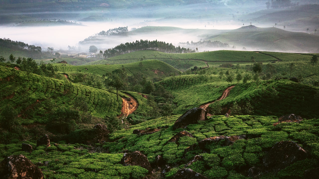 Rolling green hills.