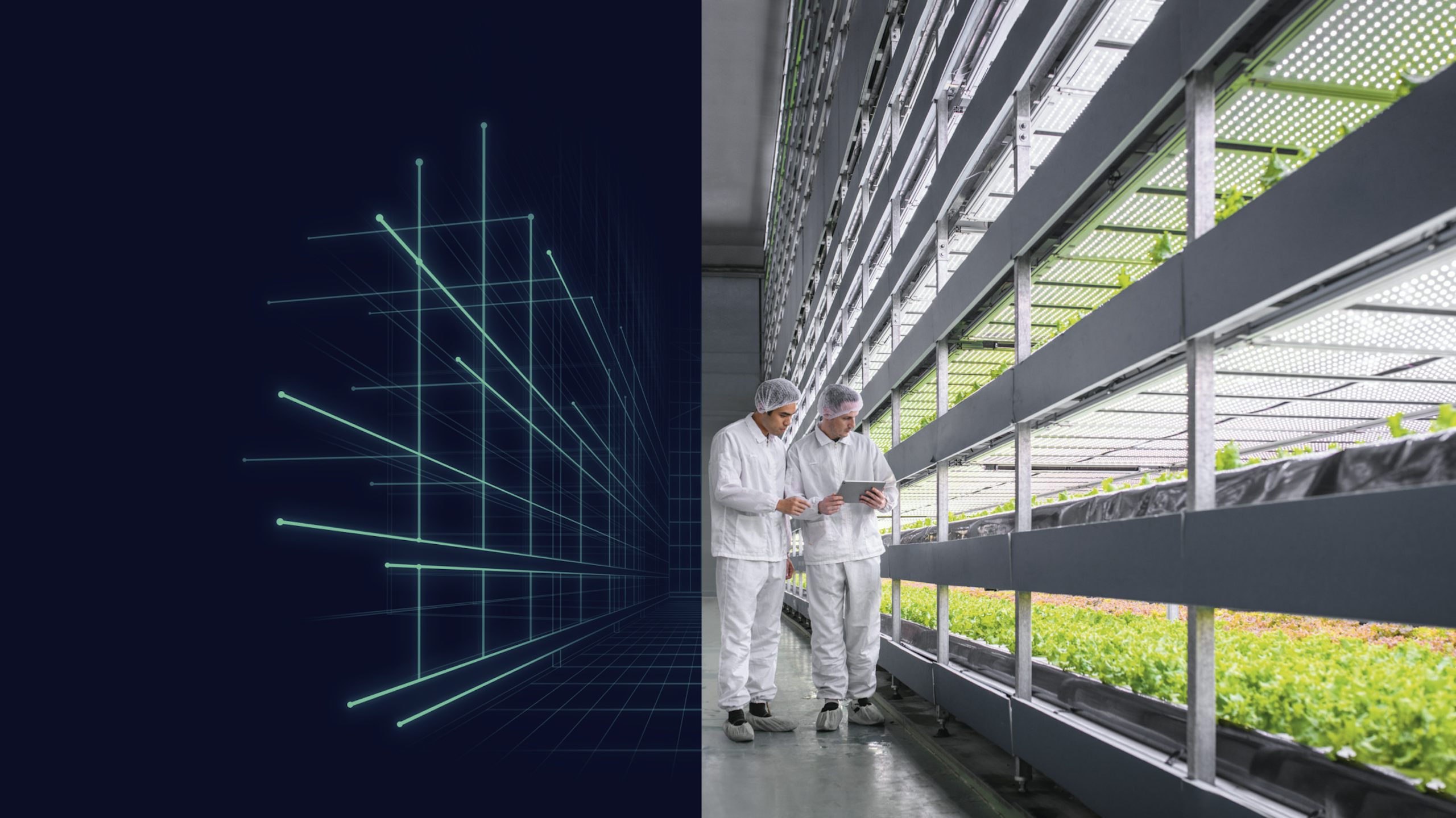 The image shows a vertical farming setup with multiple layers of plants growing in a controlled environment.