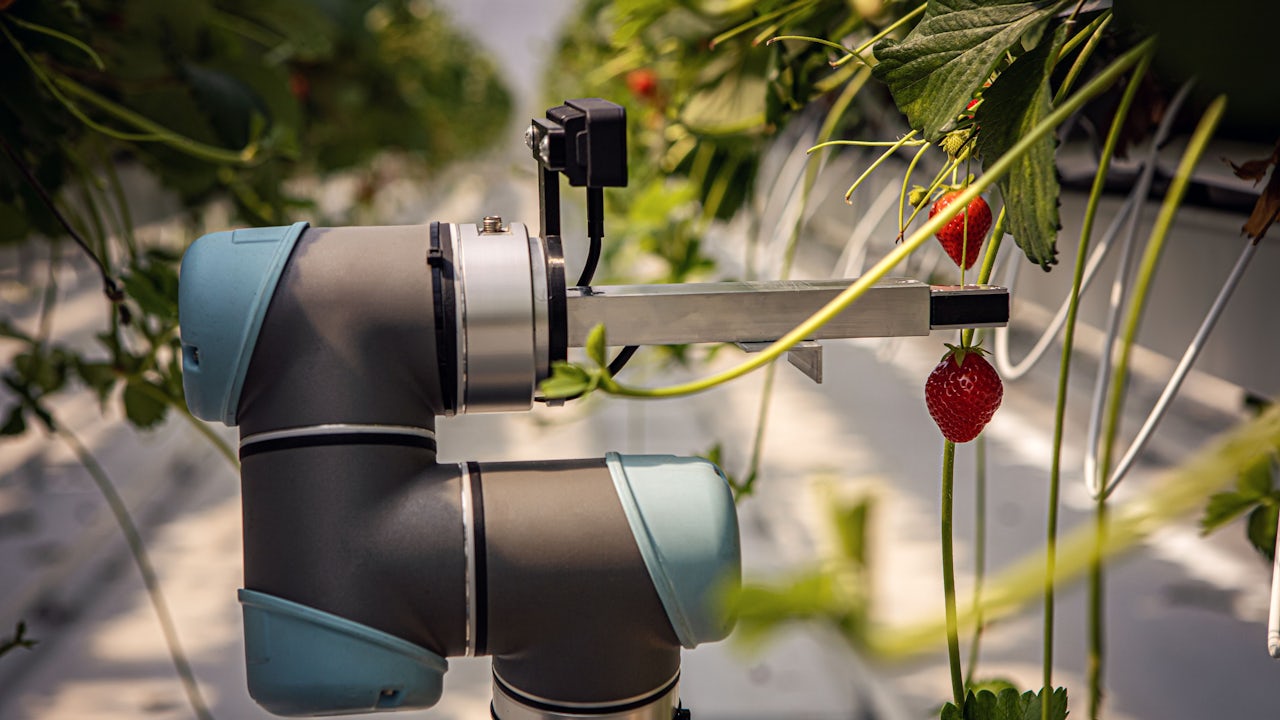 Farma Ráječek Jahody.