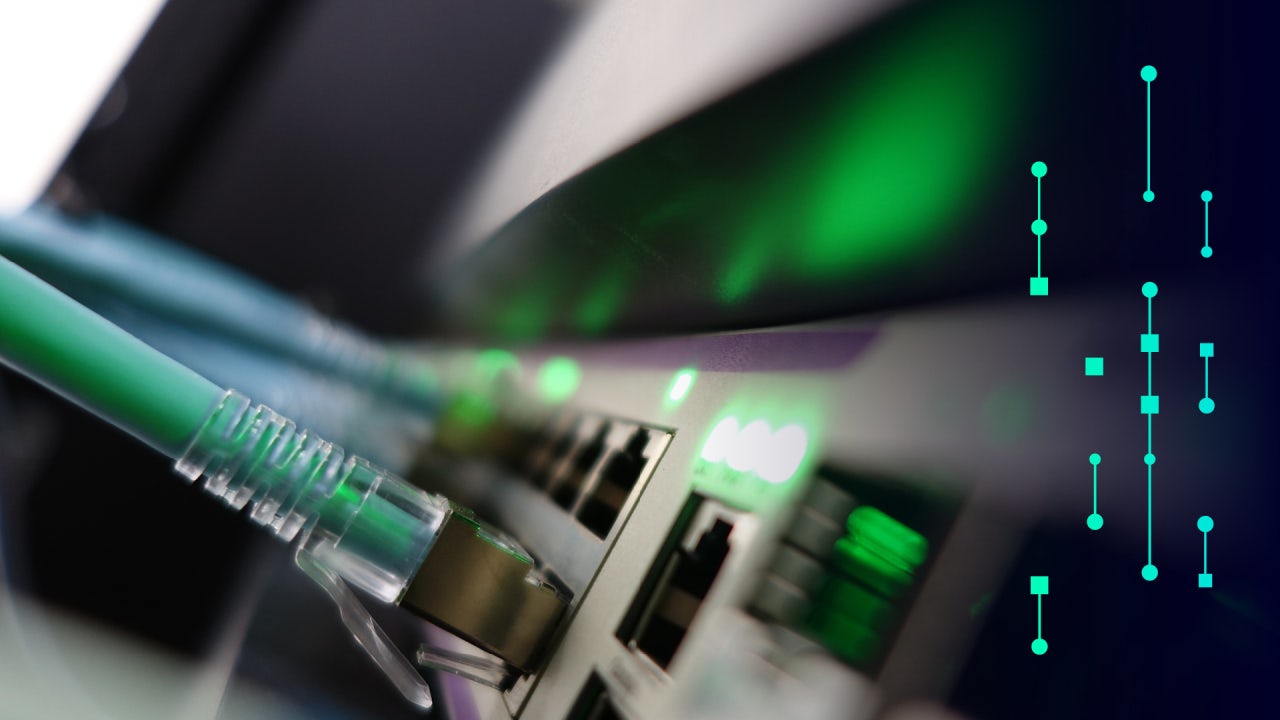 Ethernet cables plugged into a server