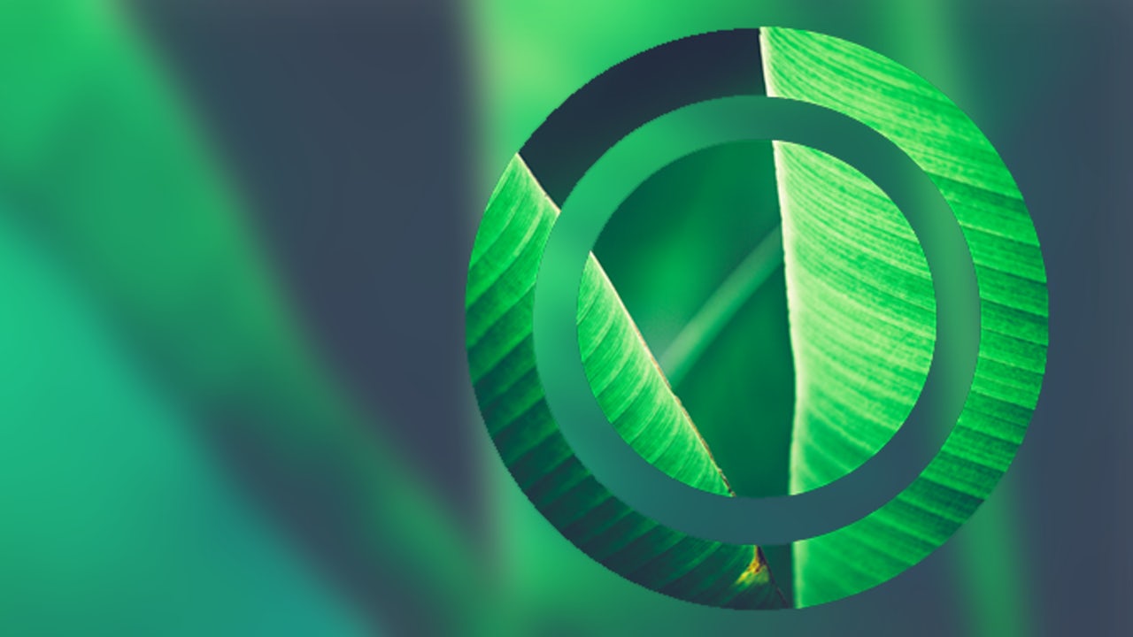 Macro close up of a green leaf with a transparent bullseye overlay.