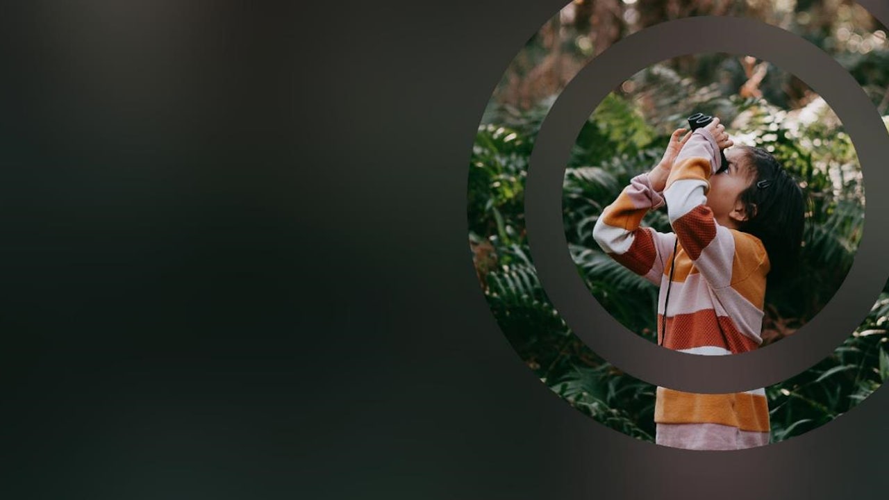 A person looking through binoculars is a forest setting.