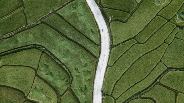 Rural landscape with rice fields, traditional wooden houses on stilts, and mountains in the background