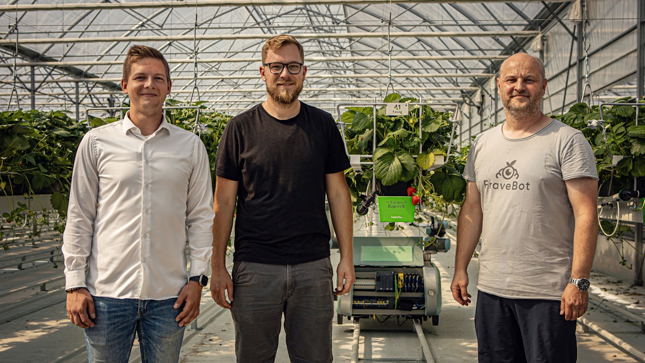 Colorful hot air balloons floating in a clear blue sky above a green landscape