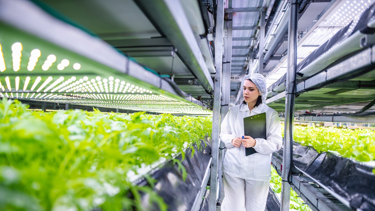 A person wearing white clothes and a hair net walking in a plant growing factory.