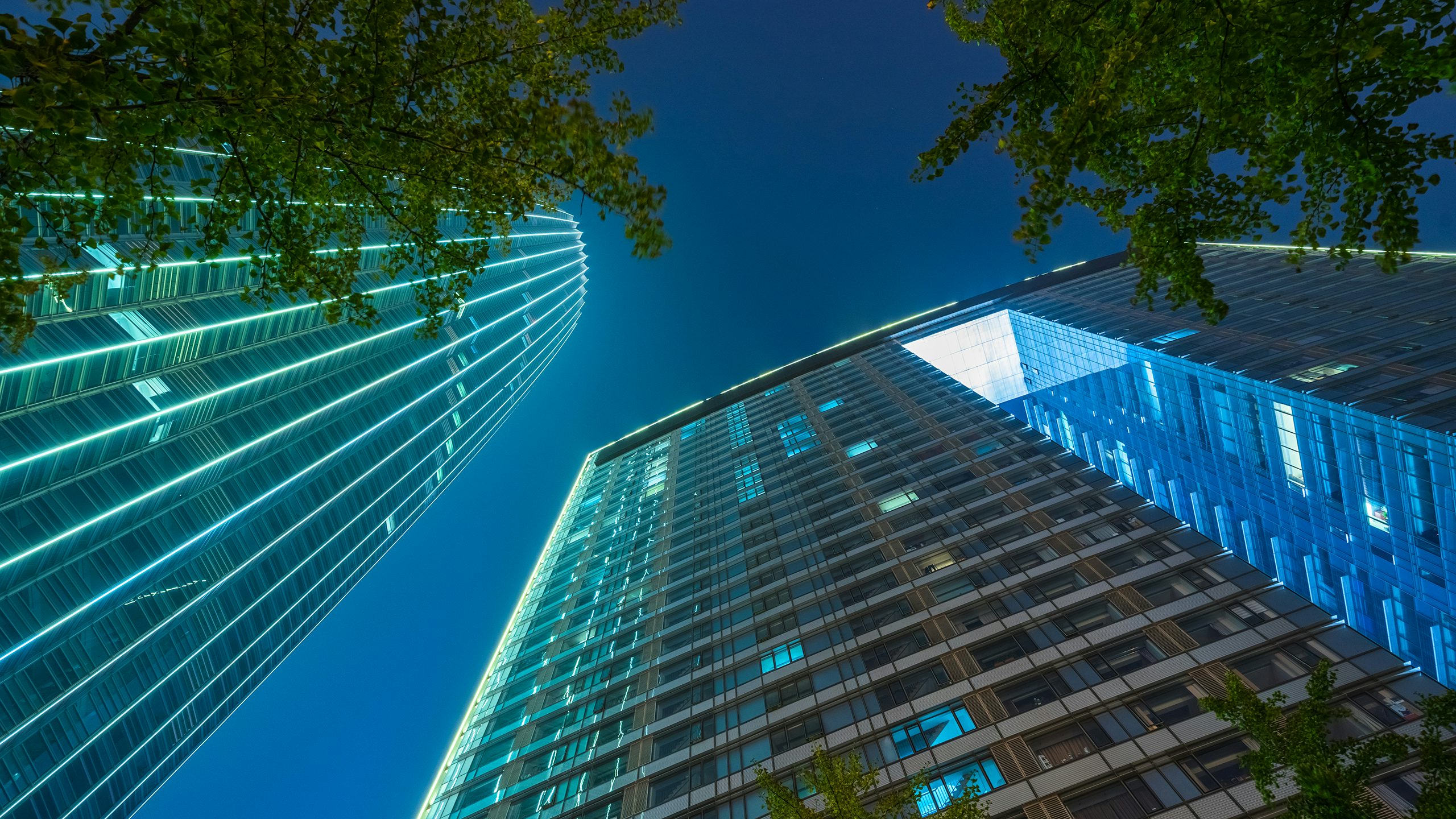 Buildings and trees at night.
