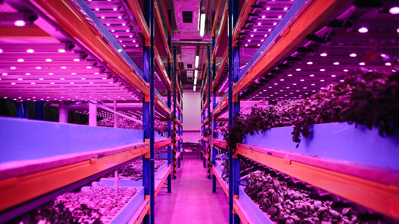 Smart agricultural technology with interconnected digital systems and sustainable farming techniques