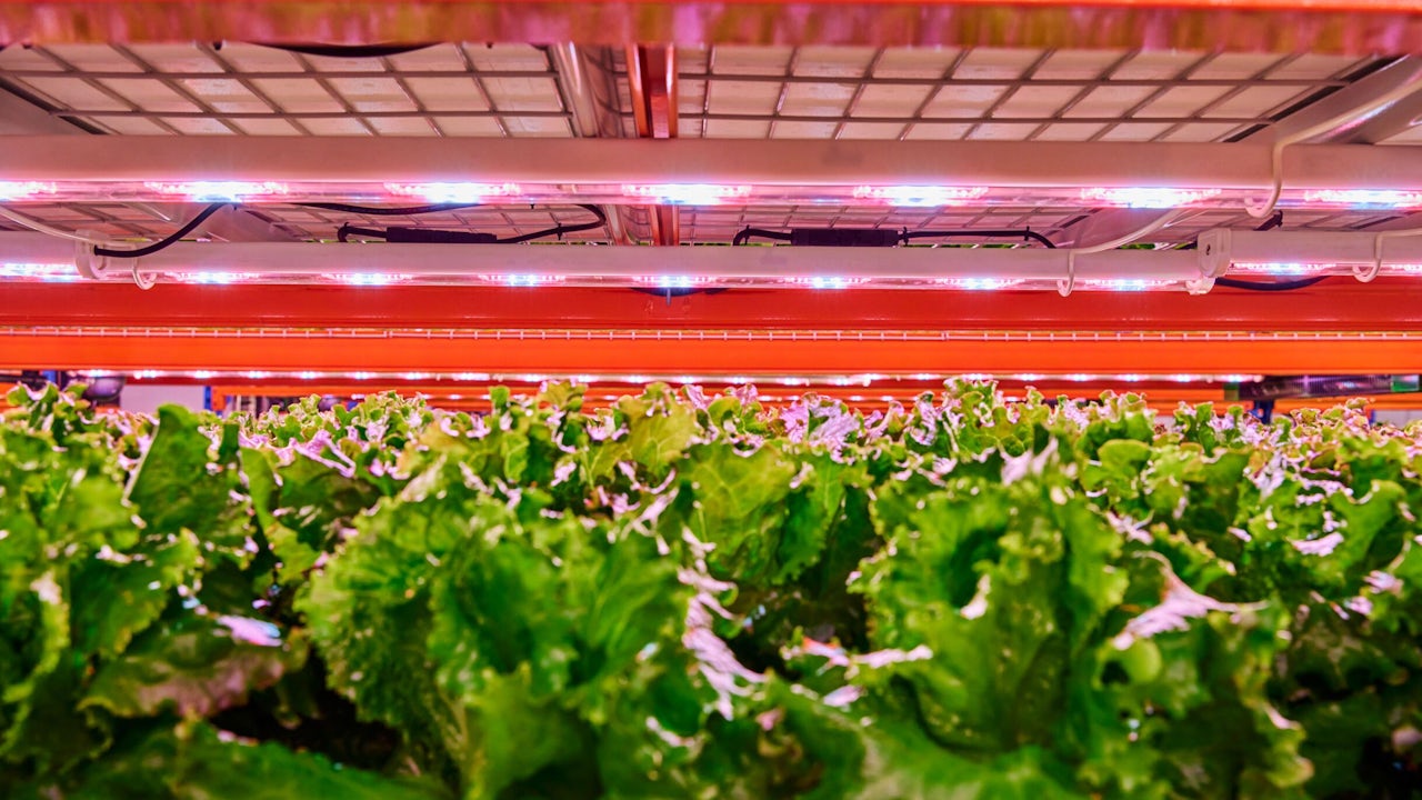 A person is standing in front of a white wall with a blue and white logo on it.