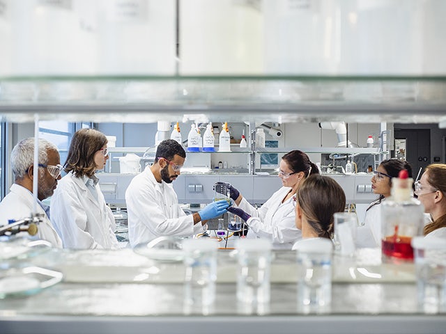 Group of scientists working in the laboratory.