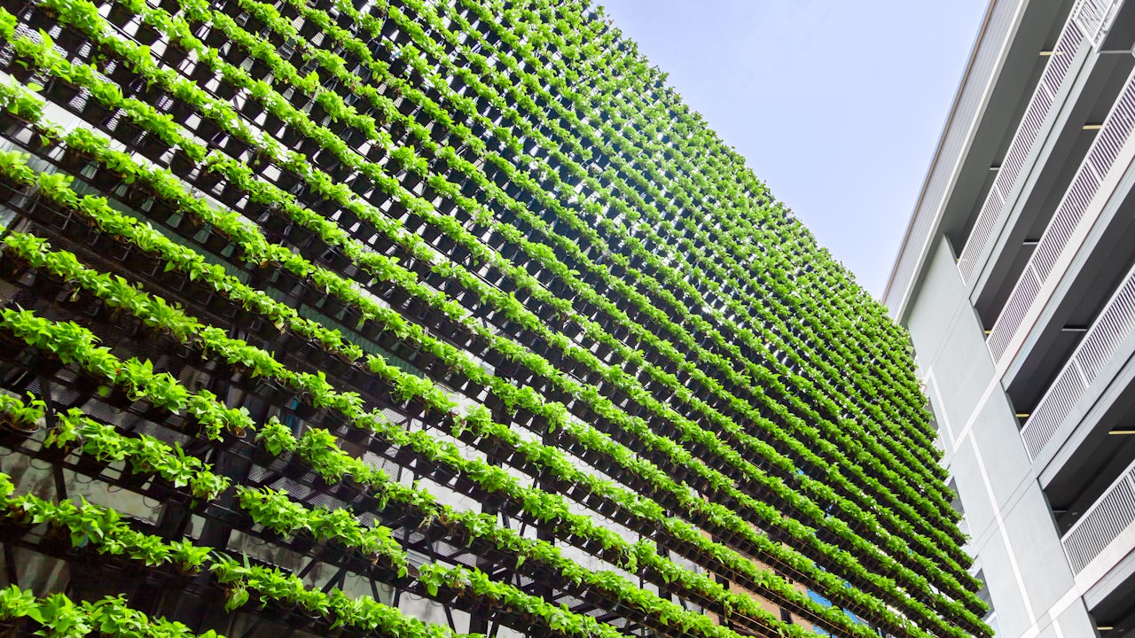 A vertical garden on the facade of a building with plants growing on the wall.