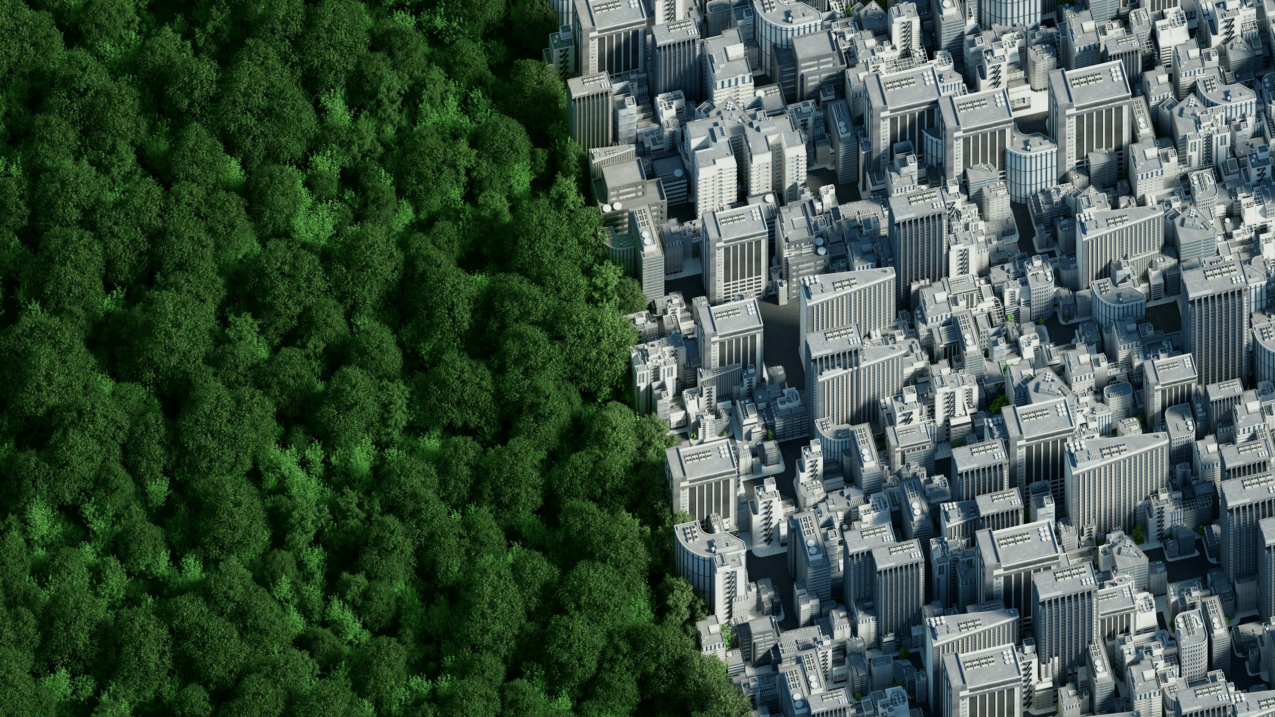 A desaturated image of a city forest with tall trees and a clear sky.