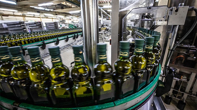 Olive oil bottles in a manufacturing factory.
