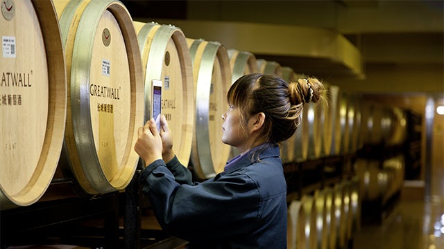 Woman with tablet standing in front of many wine barrels.