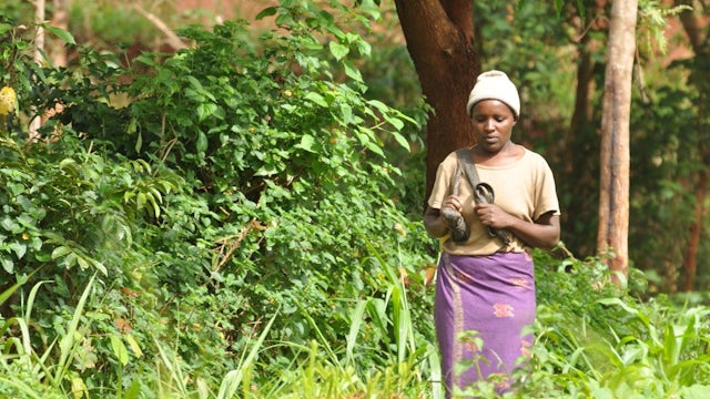 Woman walking through greenery.