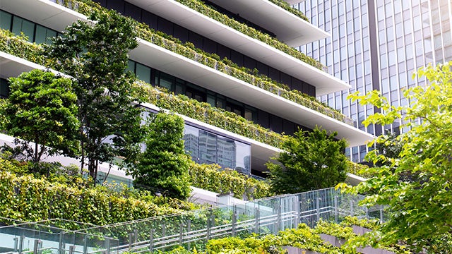 The cover of the whitepaper, featuring a building and greenery