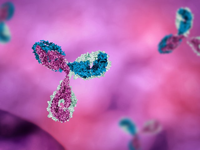 A webinar poster for a digital process twin featuring a monoclonal antibody product.