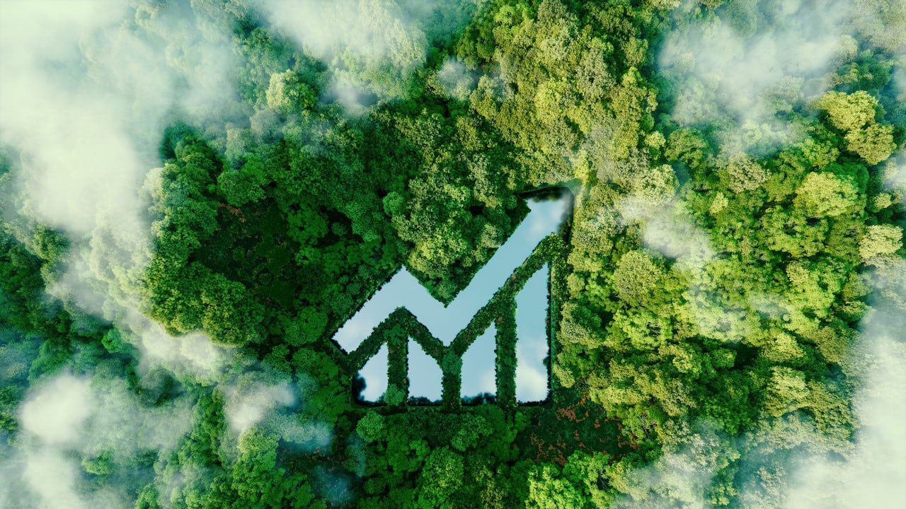 A growth chart infused into an aerial view of a forest and clouds.