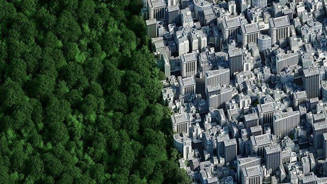 City buildings parallel to a forest of trees.