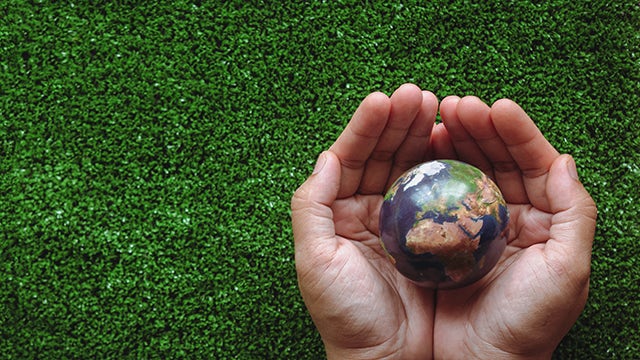 Hands holding a globe.