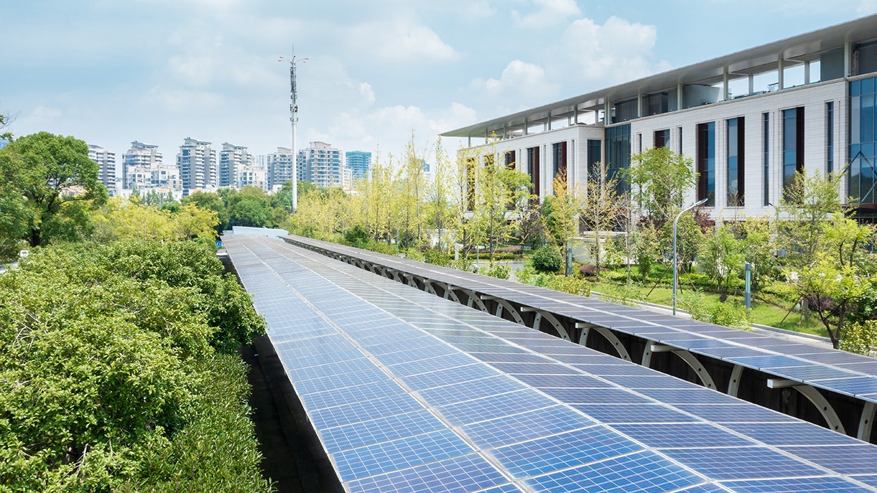 Solar panels surrounded by trees and buildings.