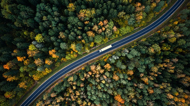 Truck driving on a road in the middle of the forest.
