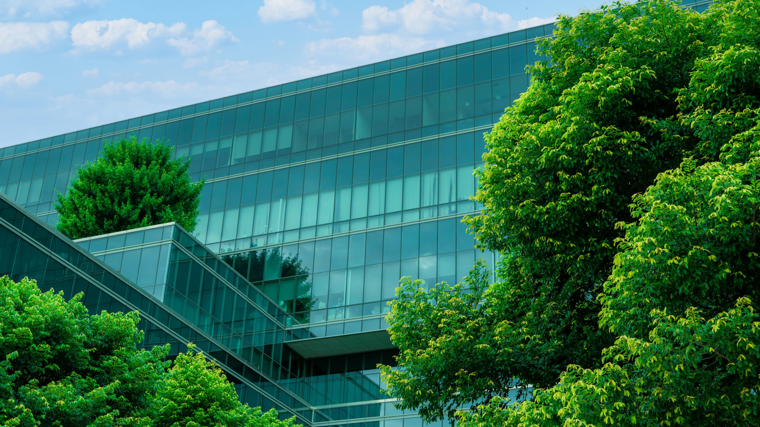 Glass building with green trees in front against a blue sky.