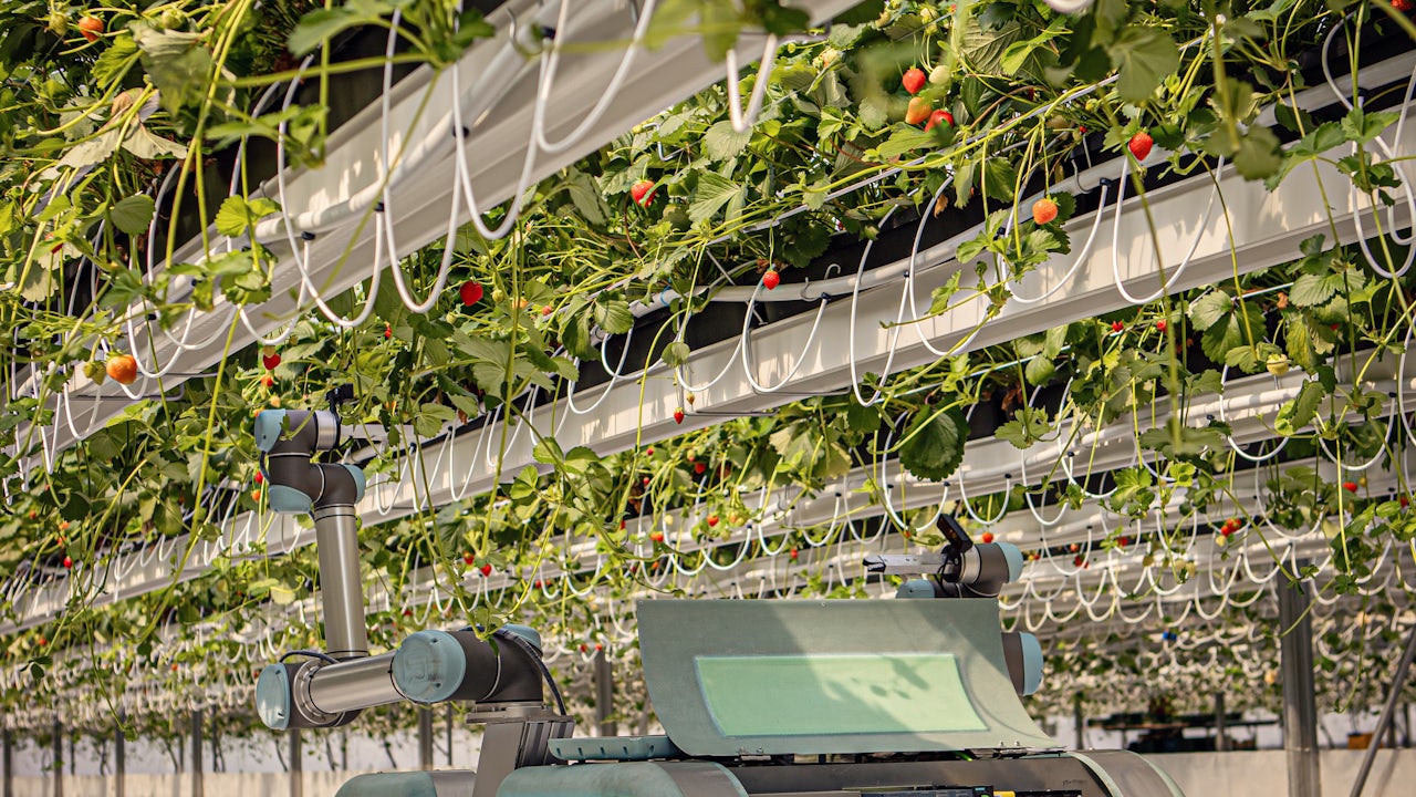 Showcasing Siemens technology inside, a robotic unit moves on rails for ideal navigation.