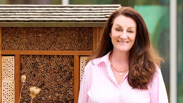 Expert Siemens Campus Erlangen