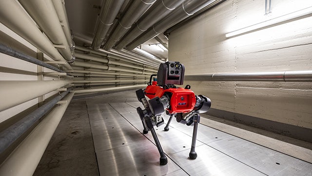 AI-powered robot dogs improve safety and reliability of plants