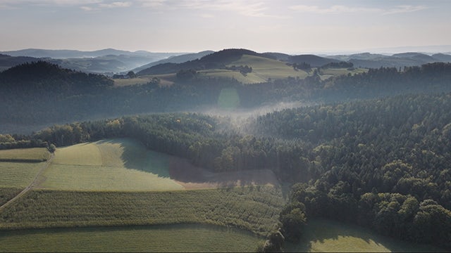 Wind turbines and solar panels in a field, representing renewable energy sources