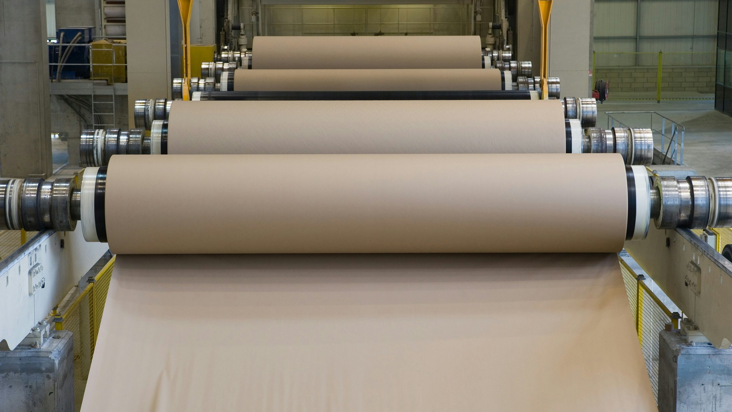 Rolls of paper at a papermill.