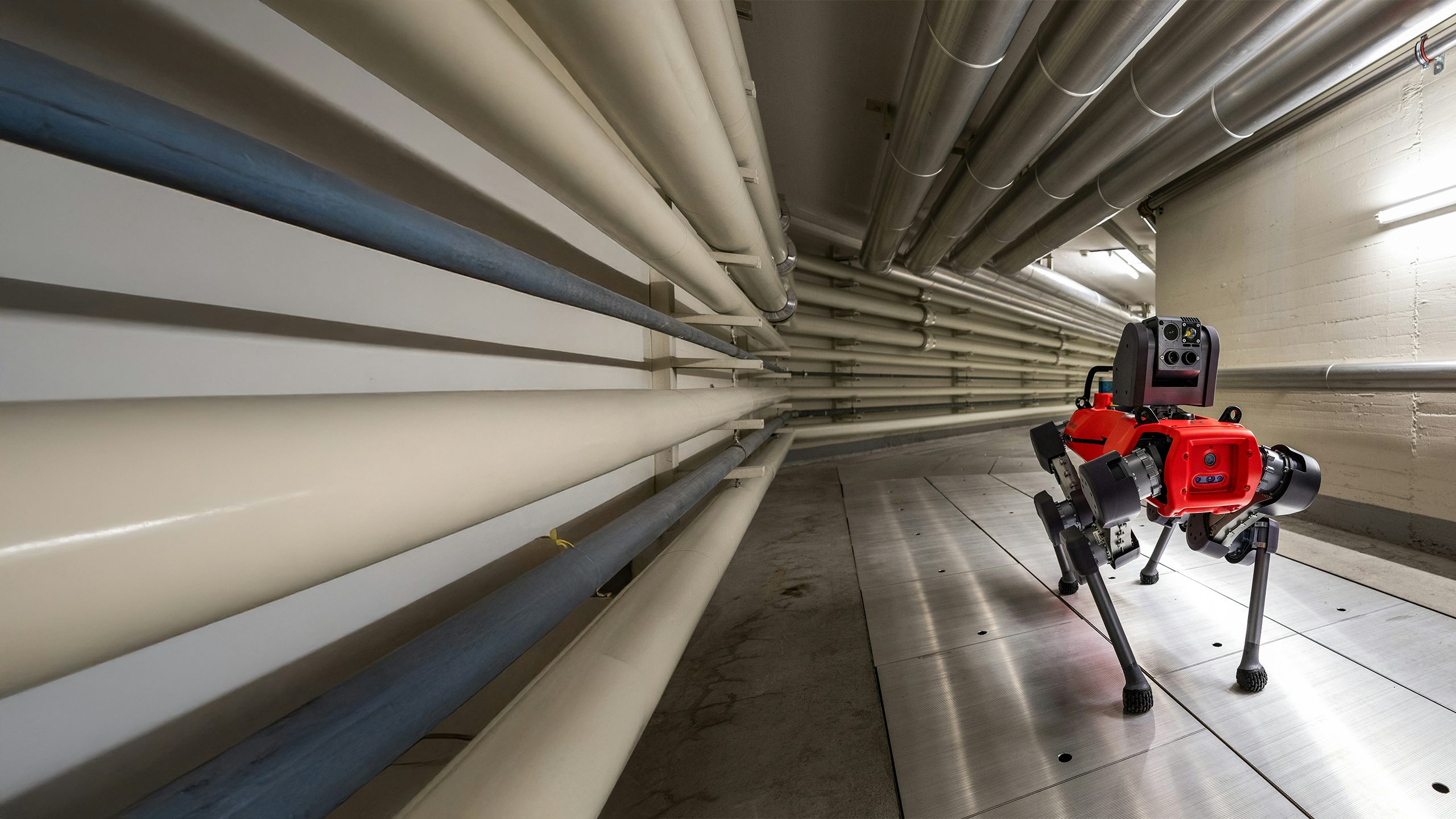 Dog robot going on an inspection mission.