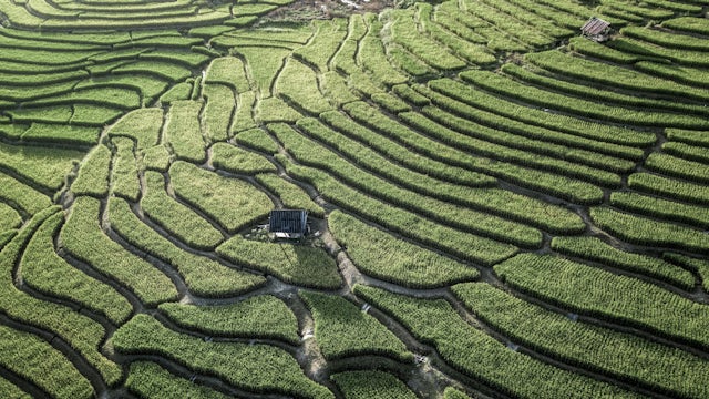 A rural landscape in Thailand with a city in the distance, surrounded by trees and mountains.