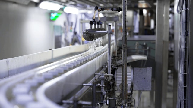A conveyor belt at a dairy factory where bottles are being washed.