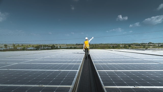 Man in a work vest standing the middle of a solar farm