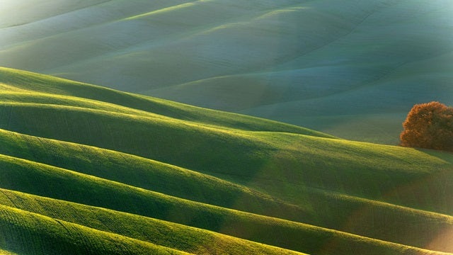 Rolling green hills.