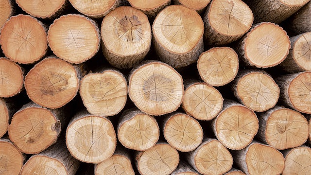 Unprocessed wood logs in a pile.